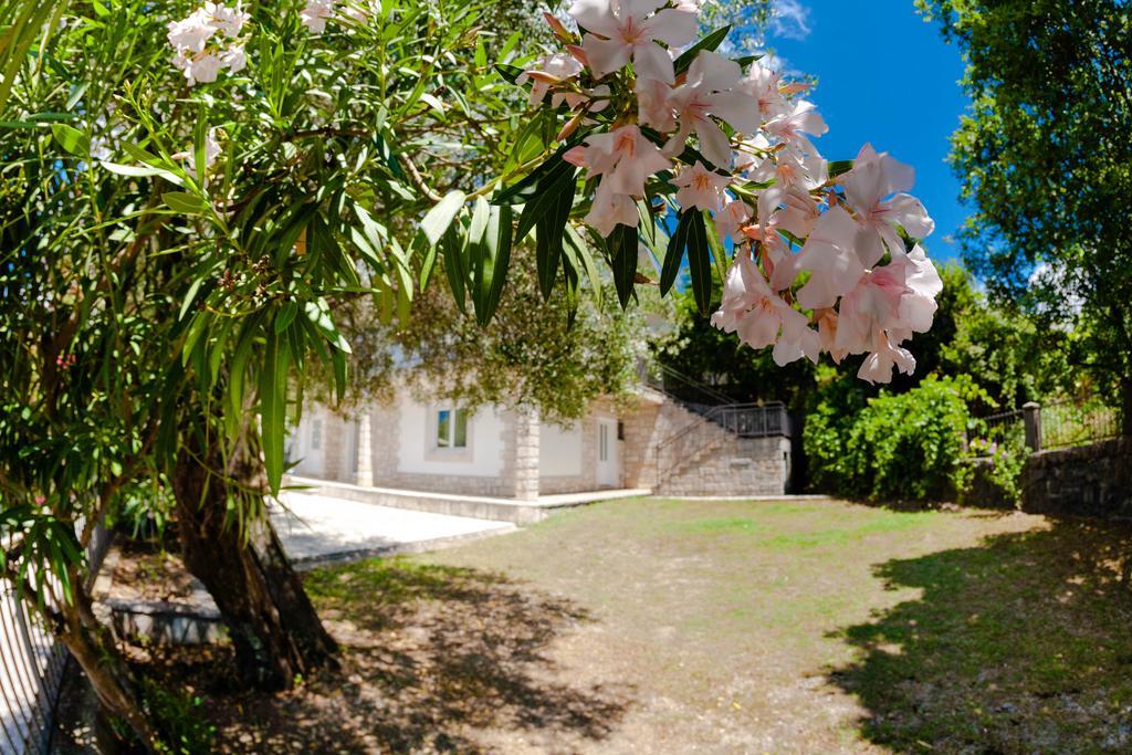 Olive Tree Villa Herceg Novi Exterior foto